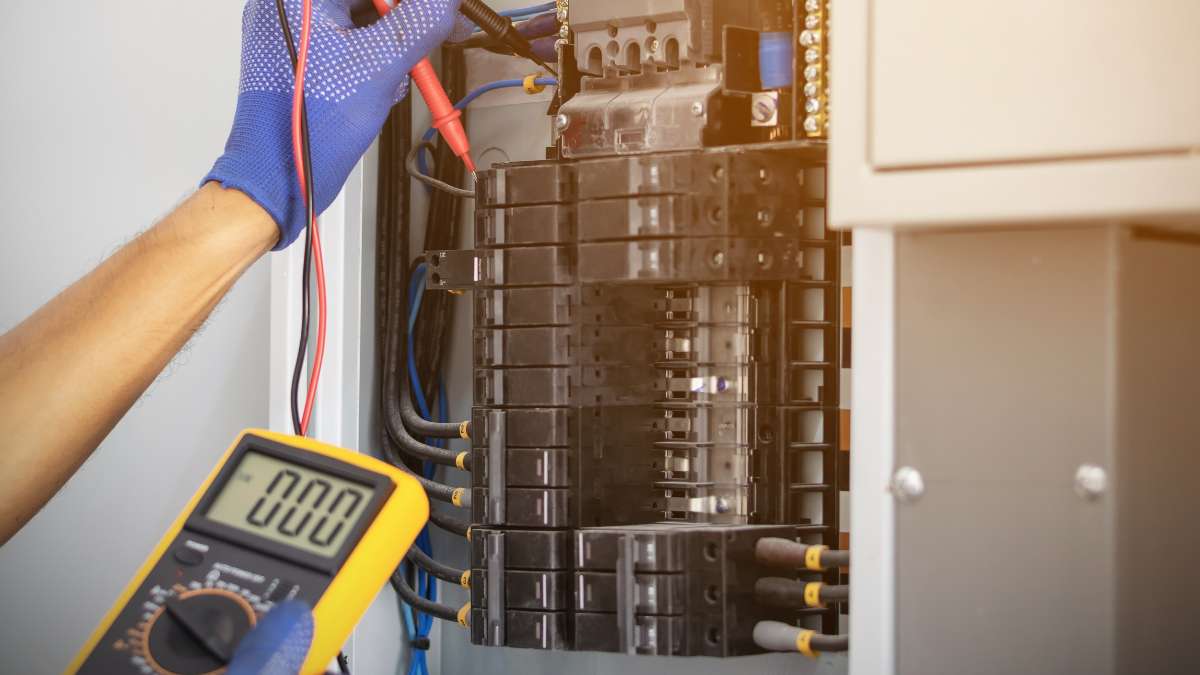 Trade Spotlight Electrical Apprenticeships